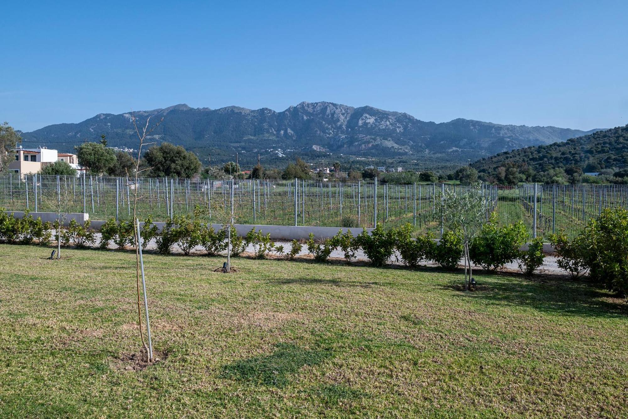 Olive Tree Garden Villa Linopotis ภายนอก รูปภาพ