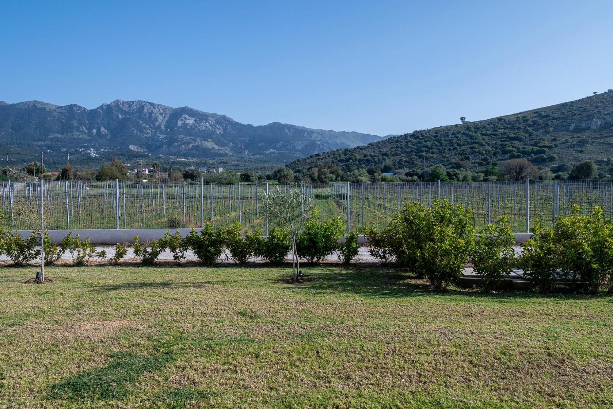 Olive Tree Garden Villa Linopotis ภายนอก รูปภาพ